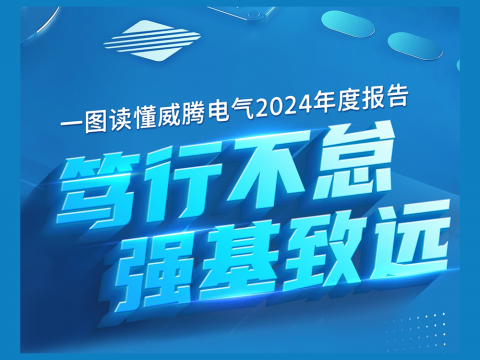 一图读懂NG官网电气2024年度报告