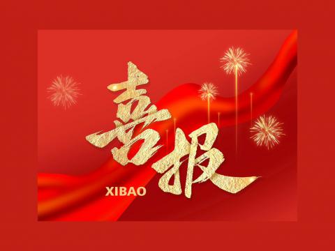 NG官网电气顺利达成乌兹别克斯坦智算中心项目合作